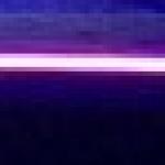 Profile picture of Morgan