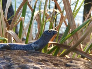 9CD8917B-8665-4C13-861B-920E1630826F